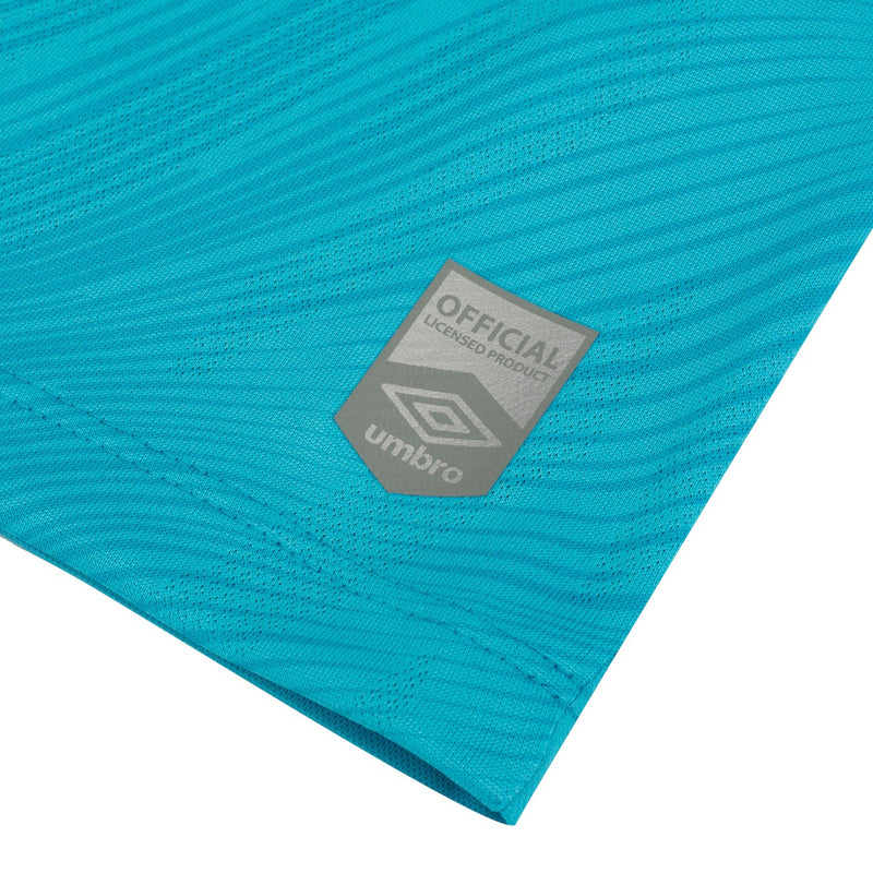 Camisa Santos Especial Neymar Jr 2025 - Azul - MAJESTO BR